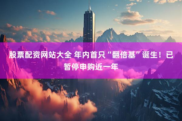股票配资网站大全 年内首只“翻倍基”诞生！已暂停申购近一年
