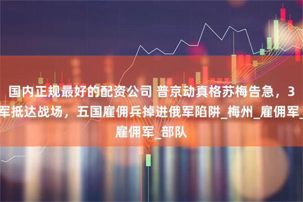 国内正规最好的配资公司 普京动真格苏梅告急，3万朝军抵达战场，五国雇佣兵掉进俄军陷阱_梅州_雇佣军_部队