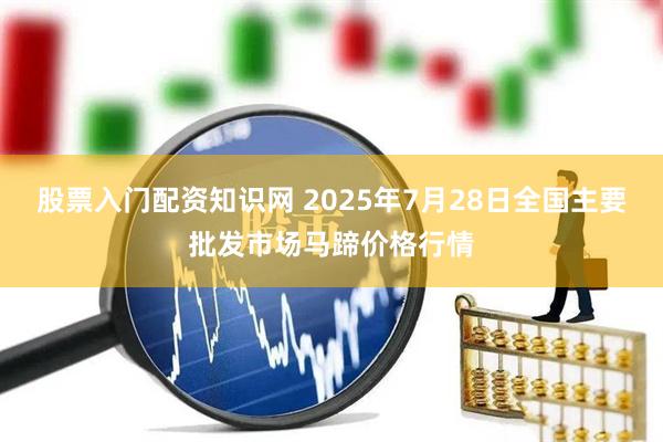 股票入门配资知识网 2025年7月28日全国主要批发市场马蹄价格行情
